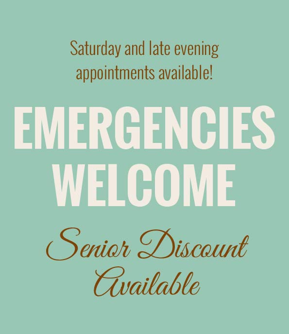 Saturday and late evening appointments available! Emergencies Welcome, Senior Discount Available