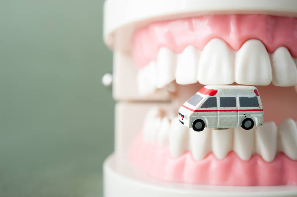 model of teeth, with ambulance between jaws